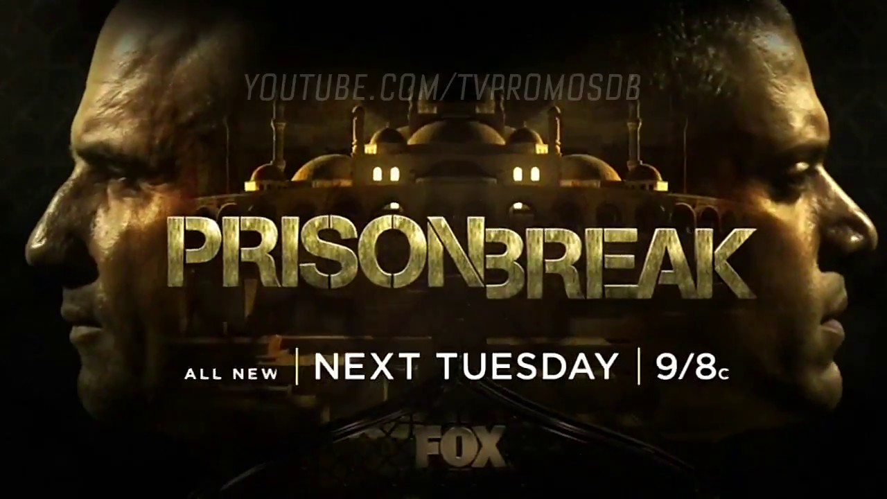 prison break season 5 download